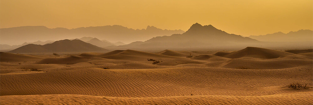 Papel pintado de Sahara