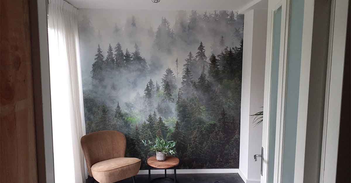 Papel Pintado de bosques - Papel Pintado fotográfico con un bosque