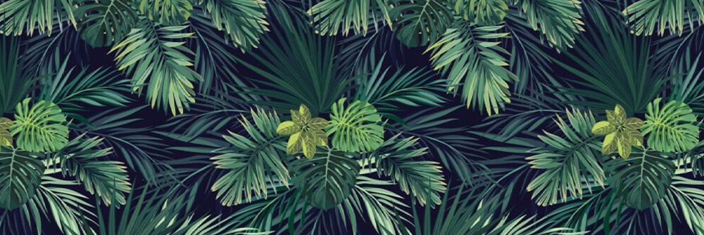Color - Verde Color - Verde