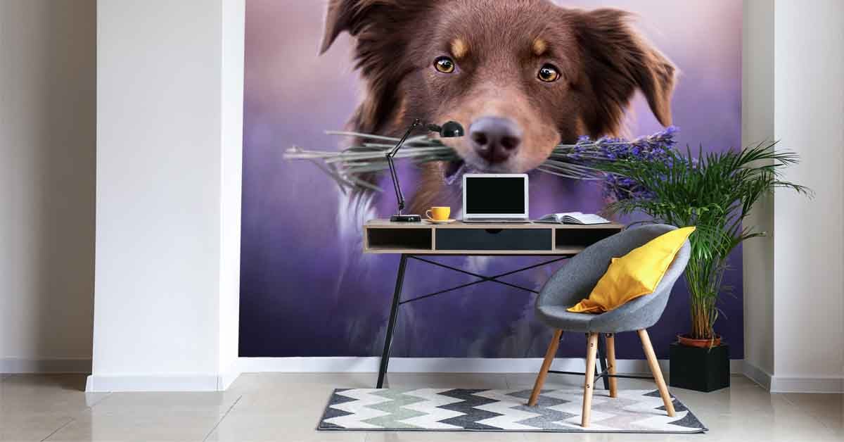 Papel de pintado con perros