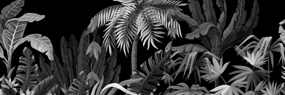 Papel pintado fotográfico de la selva en blanco y negro
