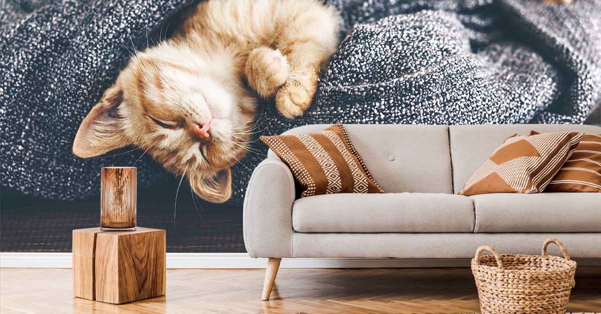 Papel Pintado con gatos y gatitos