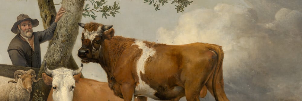 Papel de pintado de vacas