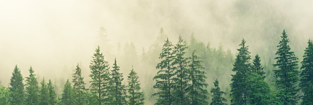 Papel pintado con paisajes de niebla