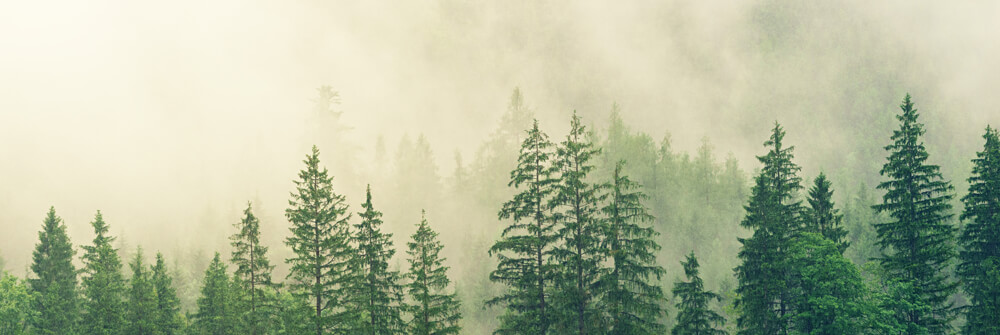 Papel pintado con paisajes de niebla Papel pintado con paisajes de niebla