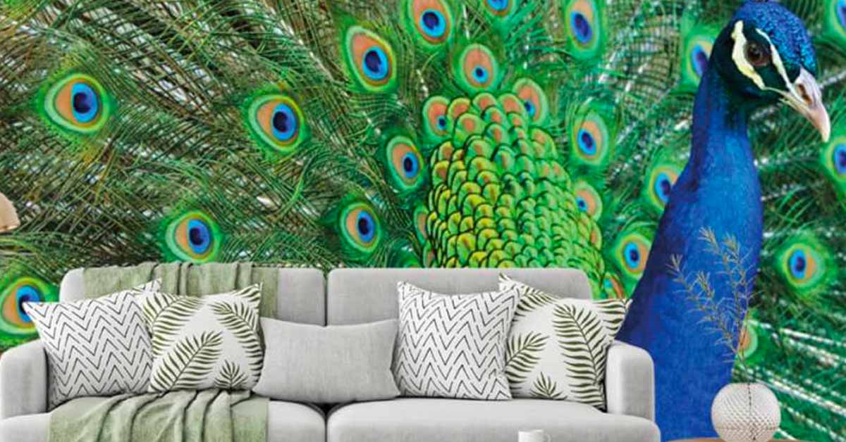 Empapelado de pavo real