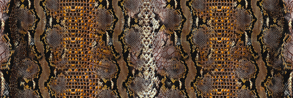 Empapelado con estampado de serpiente Empapelado con estampado de serpiente