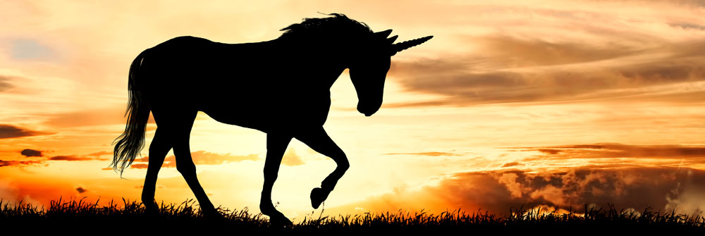 Empapelado de unicornios Empapelado de unicornios