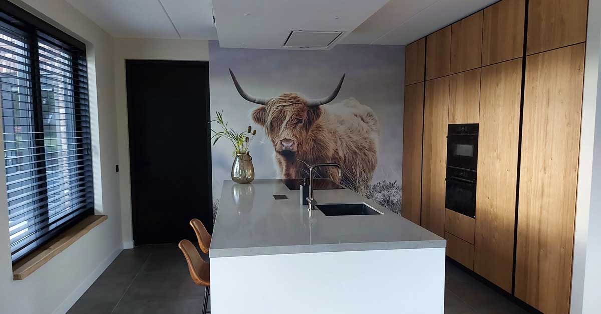 Papel pintado fotográfico de vacas escocesas