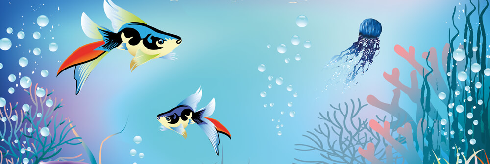 Papel pintado con peces Papel pintado con peces