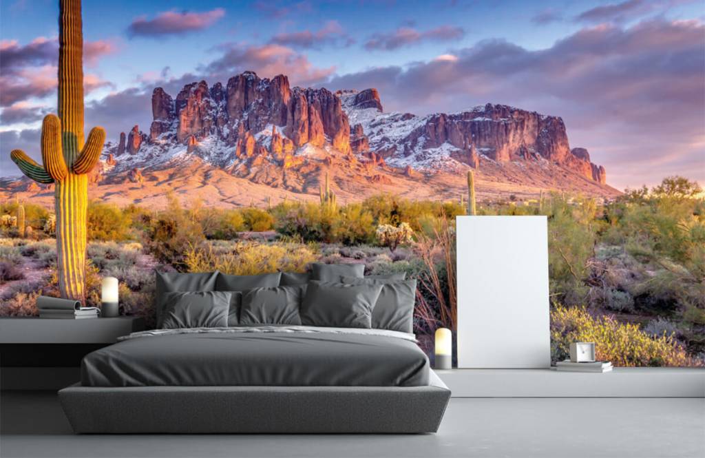 Montañas - Papel pintado con Cactus en un paisaje de montaña - Salón 4