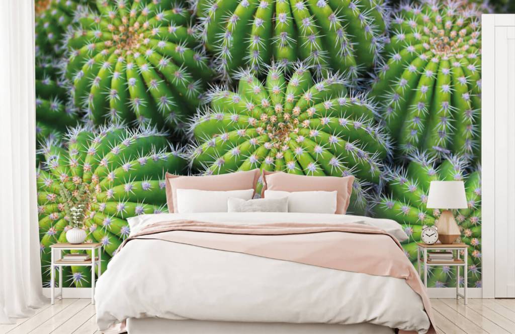 Cactus - Papel pintado con Cactus - Habitación de adolescentes 1