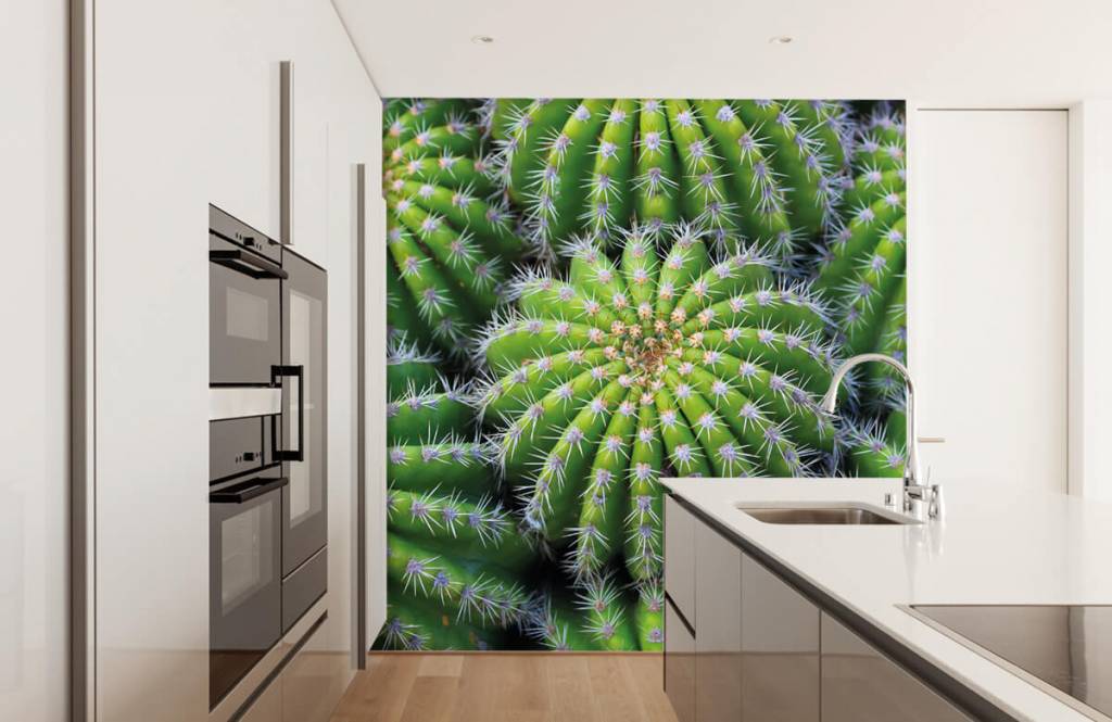 Cactus - Papel pintado con Cactus - Habitación de adolescentes 3