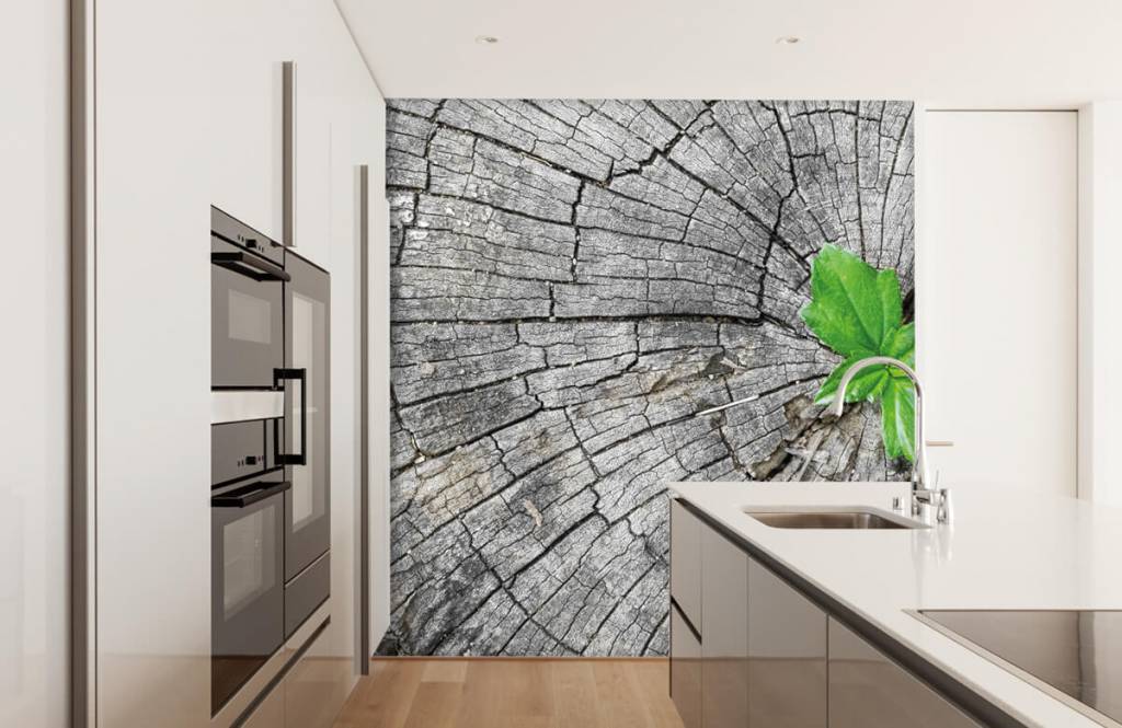 Madera - Papel pintado con Sección transversal de un tronco de árbol - Habitación 6