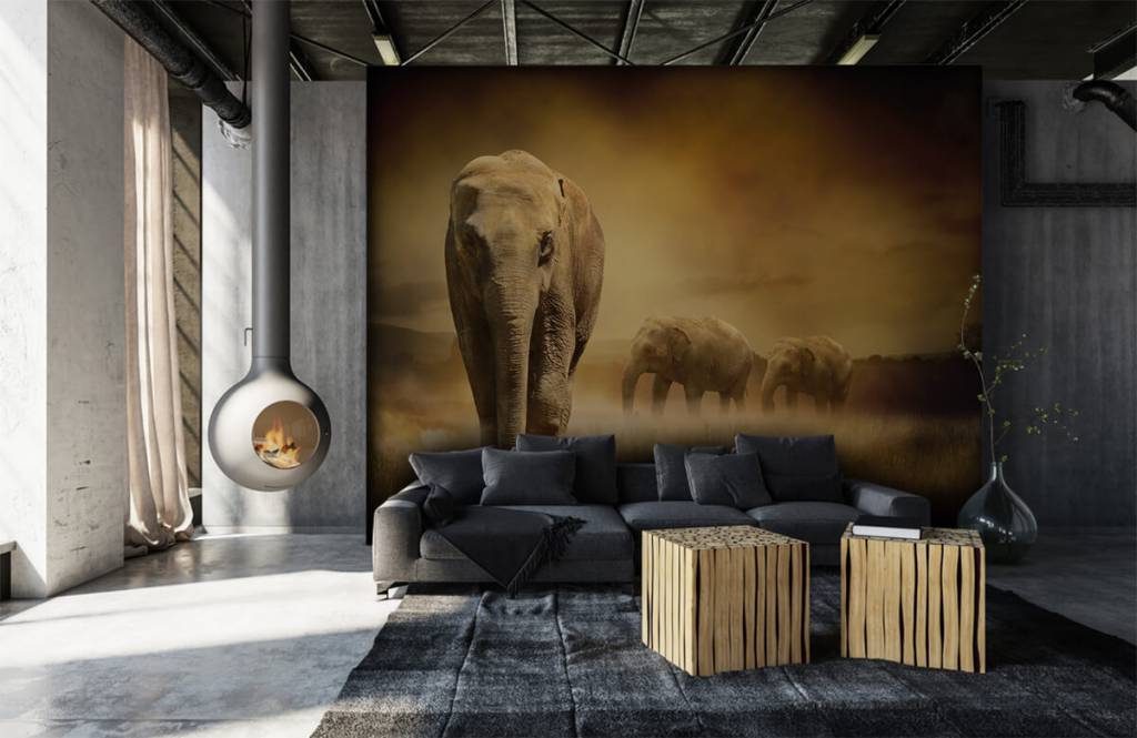 Animales - Papel pintado con Tres elefantes - Habitación de adolescentes 1