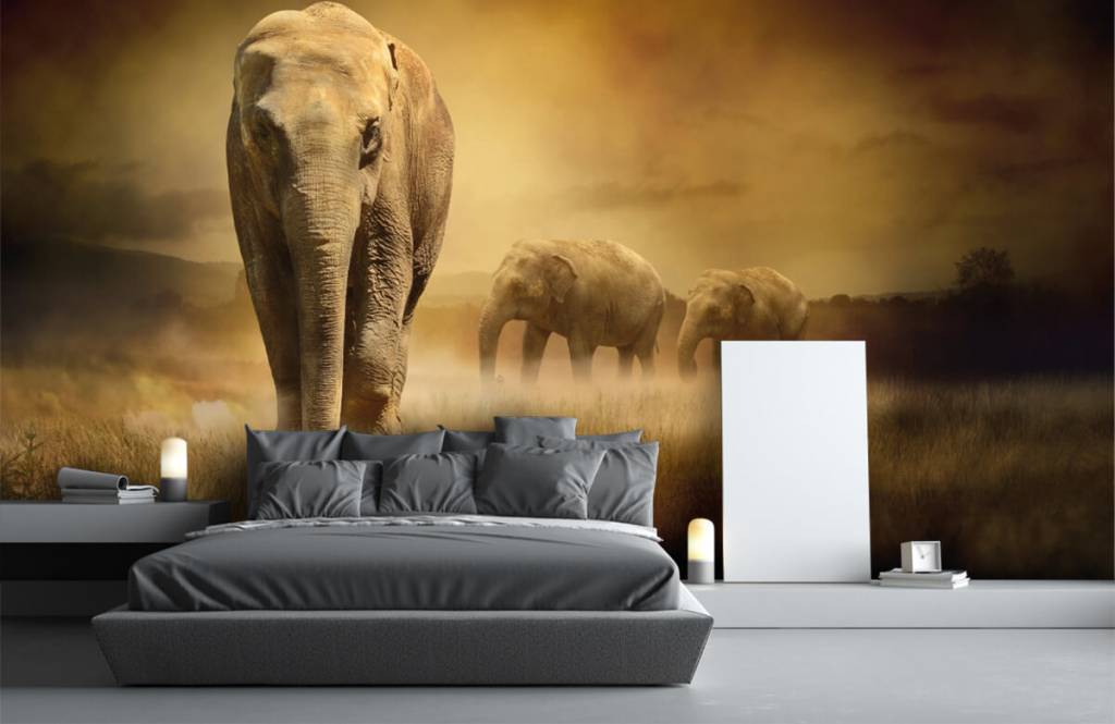 Animales - Papel pintado con Tres elefantes - Habitación de adolescentes 4