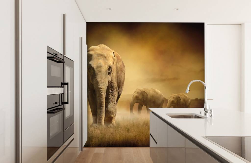 Animales - Papel pintado con Tres elefantes - Habitación de adolescentes 5