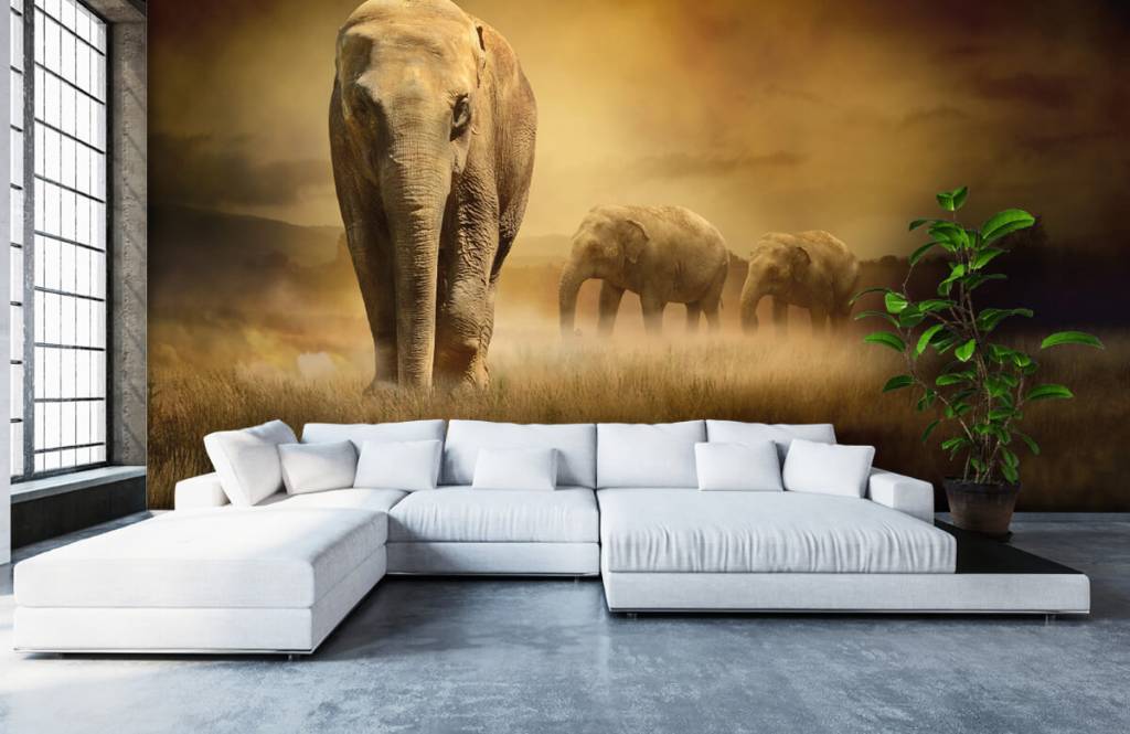 Animales - Papel pintado con Tres elefantes - Habitación de adolescentes 7