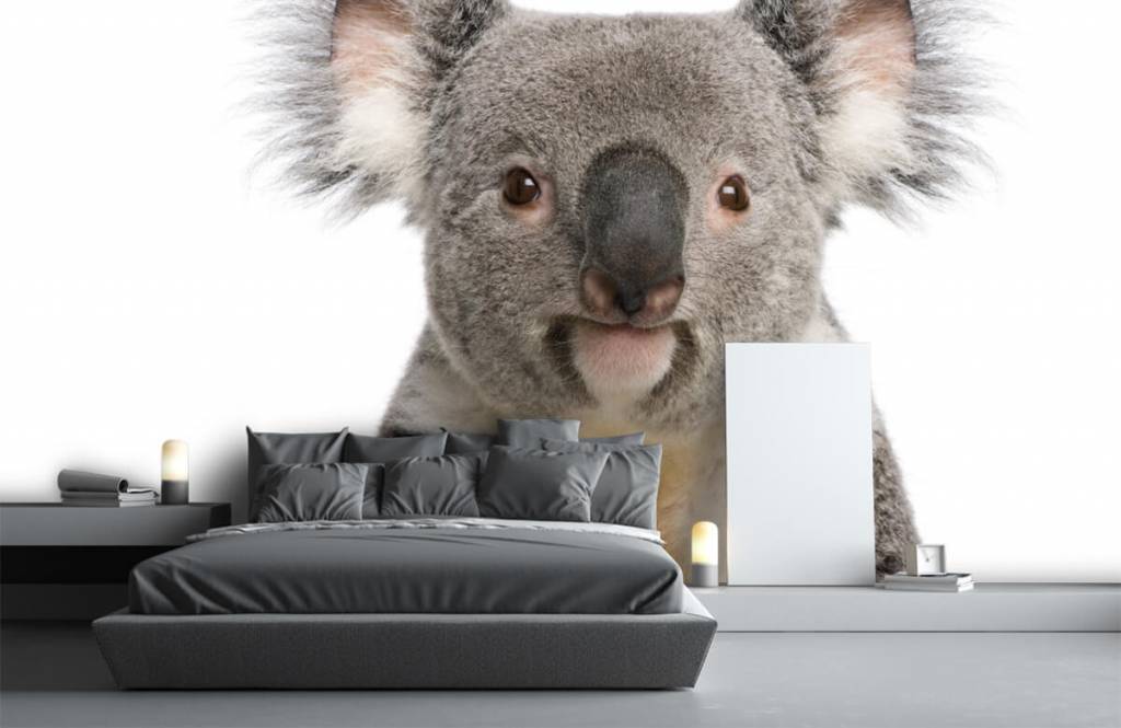 Otros - Papel pintado con Foto de un koala - Habitación de los niños 1