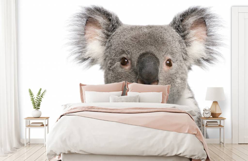 Otros - Papel pintado con Foto de un koala - Habitación de los niños 2