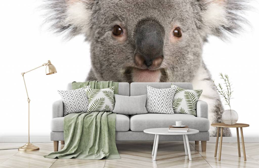 Otros - Papel pintado con Foto de un koala - Habitación de los niños 7
