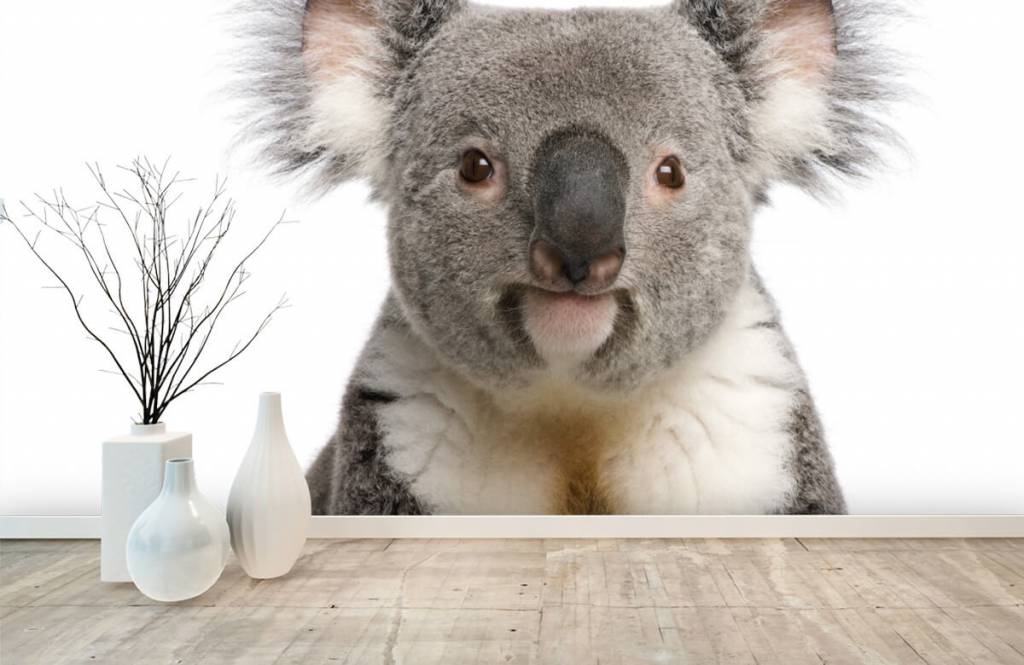 Otros - Papel pintado con Foto de un koala - Habitación de los niños 8