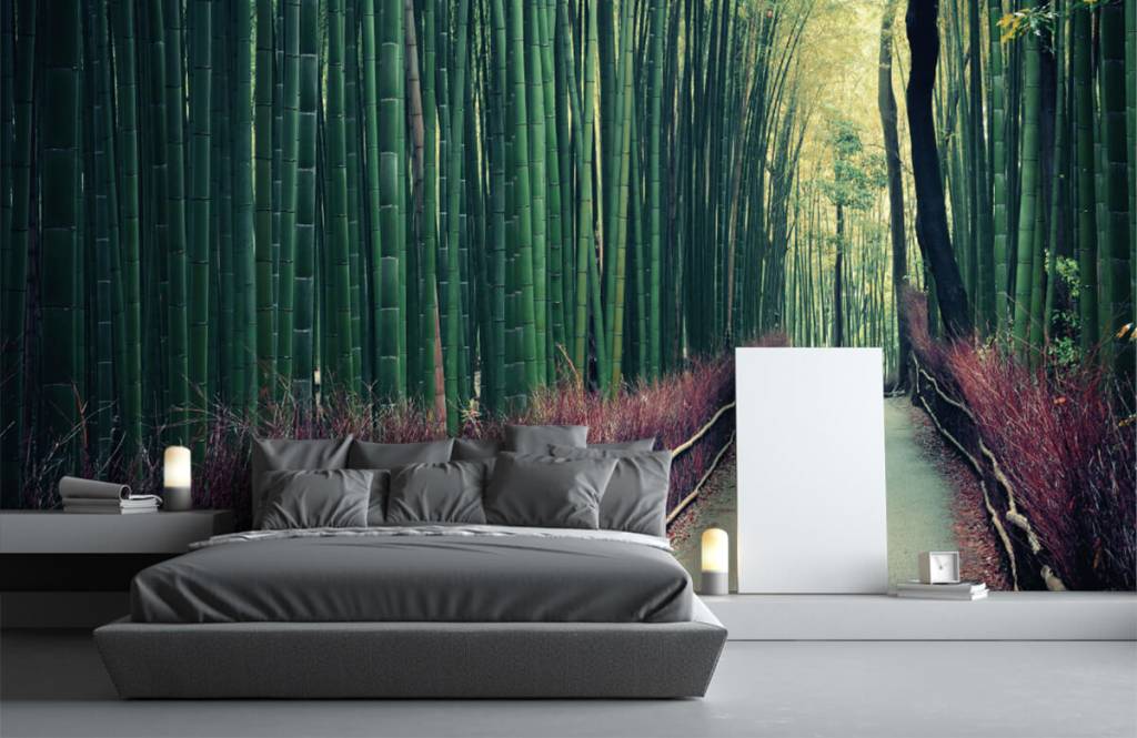 Bosque - Papel pintado con Bosque de bambú - Sala 2