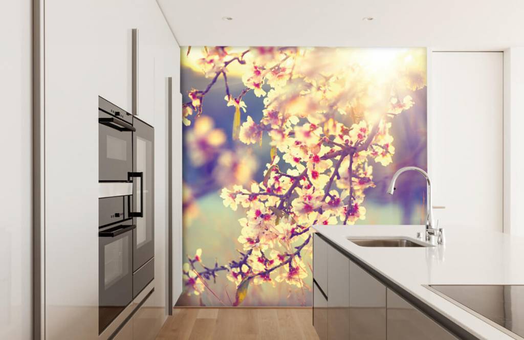 Pimpollos - Papel pintado con Árbol en flor - Habitación 4