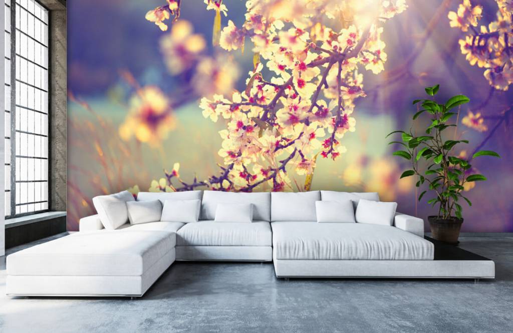 Pimpollos - Papel pintado con Árbol en flor - Habitación 6