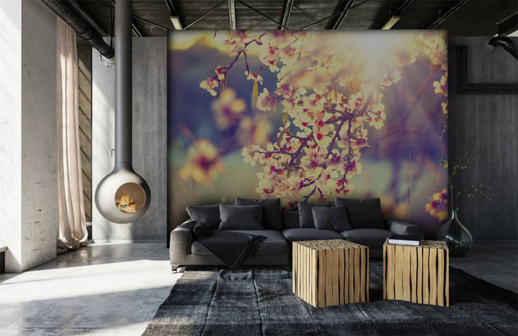 Pimpollos - Papel pintado con Árbol en flor - Habitación 7