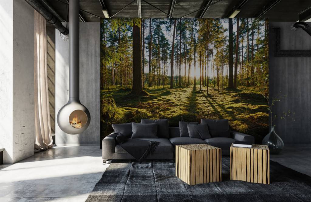 Bosque - Papel pintado con Bosque de pinos - Habitación 6