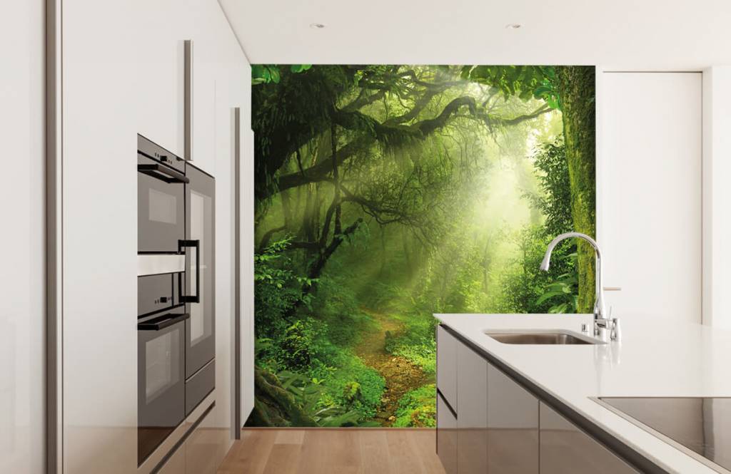 Árboles - Papel pintado con Selva con rayos de sol - Habitación 4