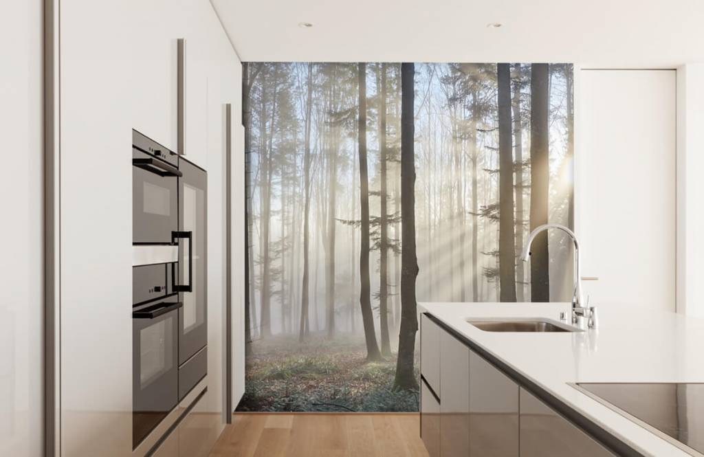 Bosque - Papel pintado con Bosque nebuloso - Habitación 2