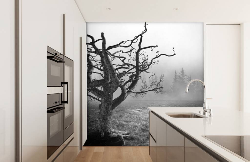 Blanco y negro - Papel pintado con Árbol agraciado - Habitación 4