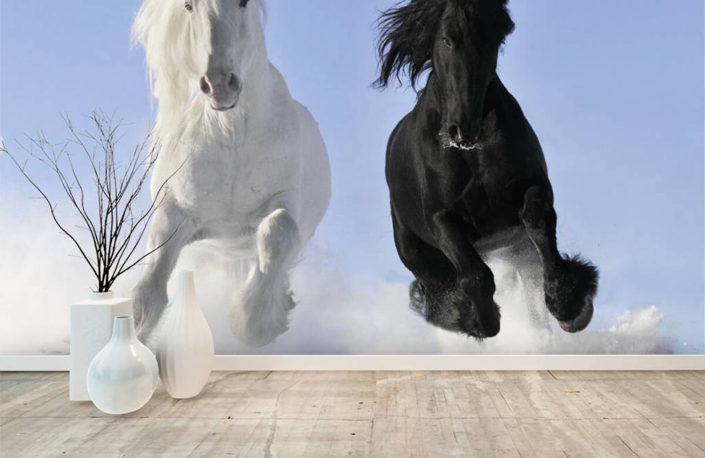 Caballos - Papel pintado con Blanco y un caballo negro - Habitación de adolescentes 1