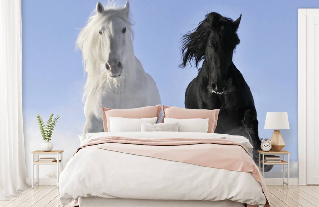 Caballos - Papel pintado con Blanco y un caballo negro - Habitación de adolescentes 2