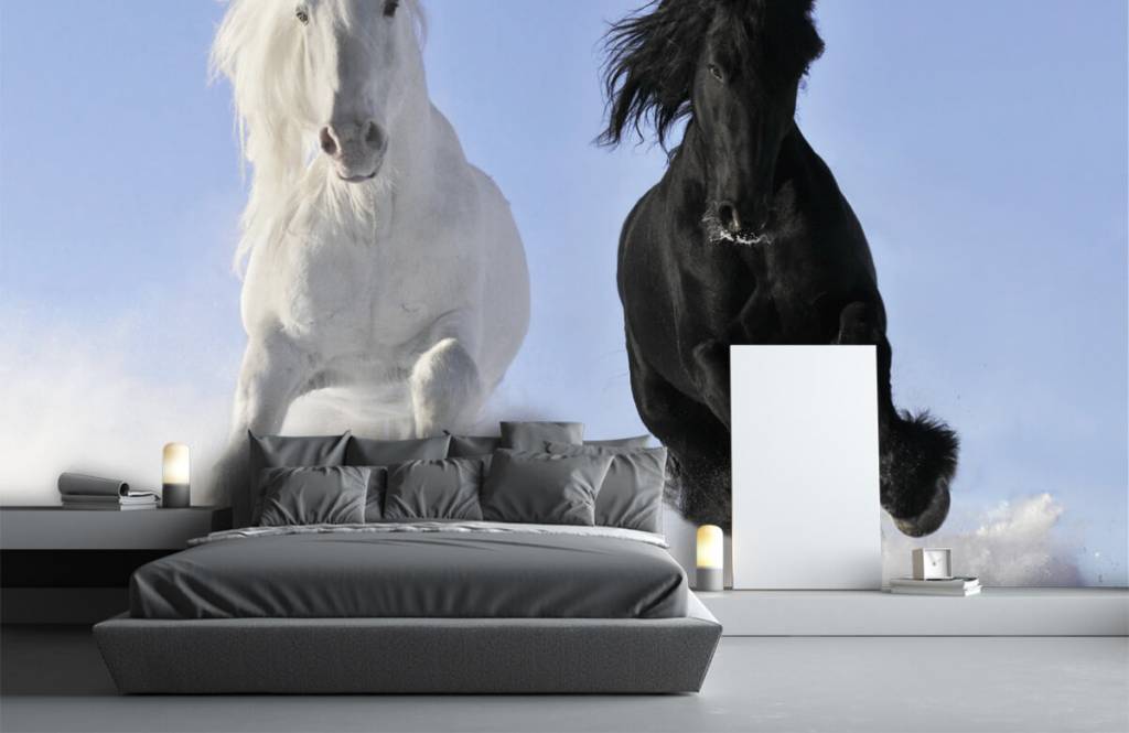 Caballos - Papel pintado con Blanco y un caballo negro - Habitación de adolescentes 3