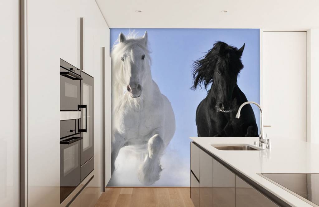 Caballos - Papel pintado con Blanco y un caballo negro - Habitación de adolescentes 4
