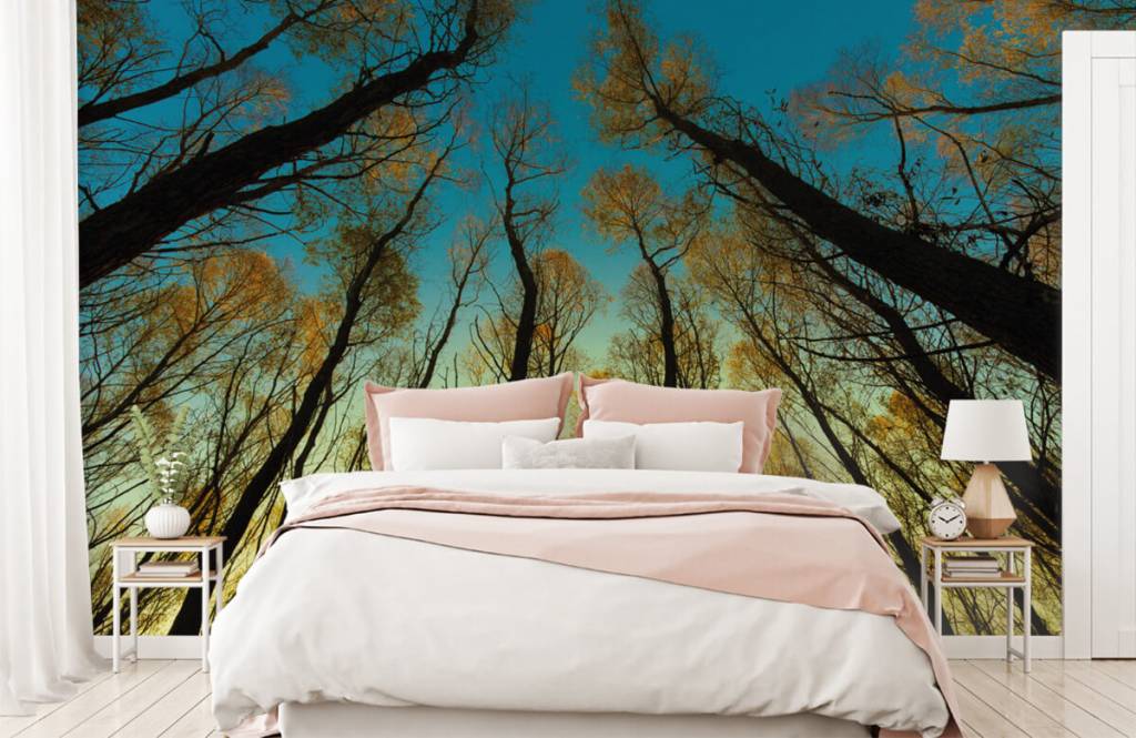 Bosque - Papel pintado con Amanecer entre altos árboles - Habitación 2