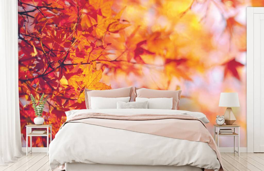 Hojas - Papel pintado con Hojas de otoño - Habitación 1