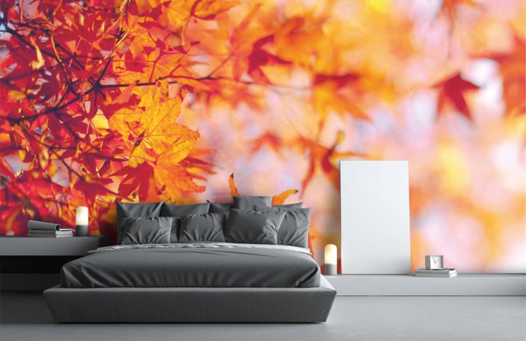 Hojas - Papel pintado con Hojas de otoño - Habitación 2