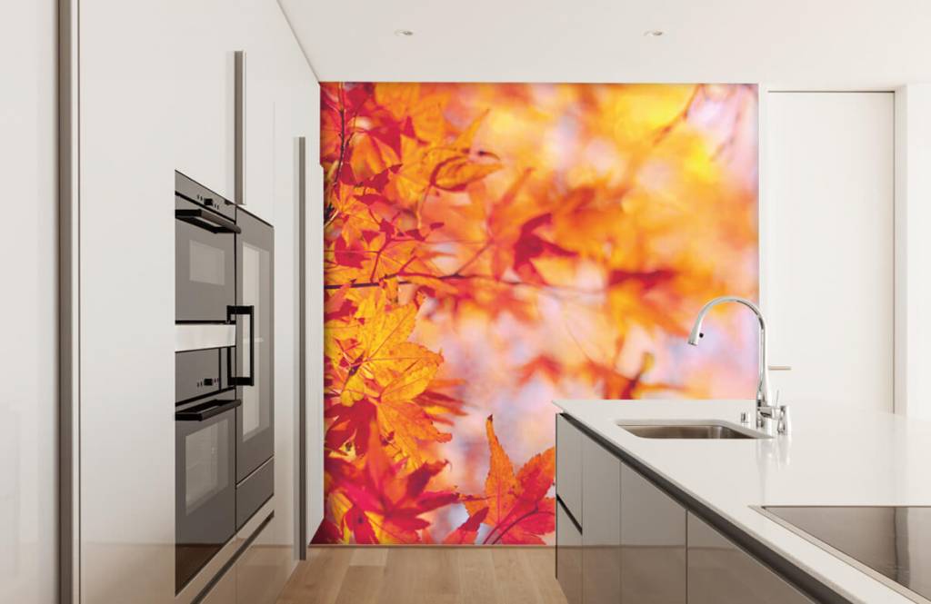 Hojas - Papel pintado con Hojas de otoño - Habitación 3