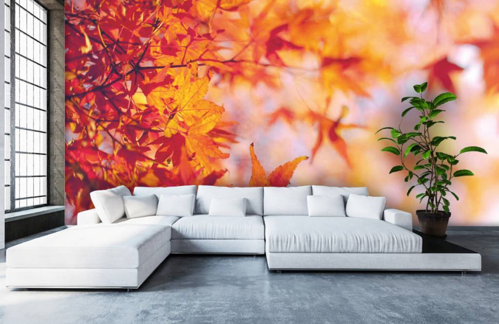 Hojas - Papel pintado con Hojas de otoño - Habitación 5
