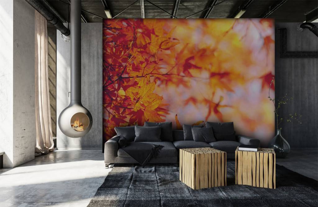 Hojas - Papel pintado con Hojas de otoño - Habitación 6