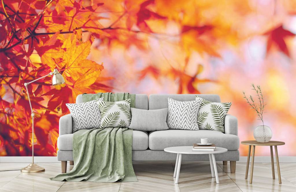 Hojas - Papel pintado con Hojas de otoño - Habitación 7
