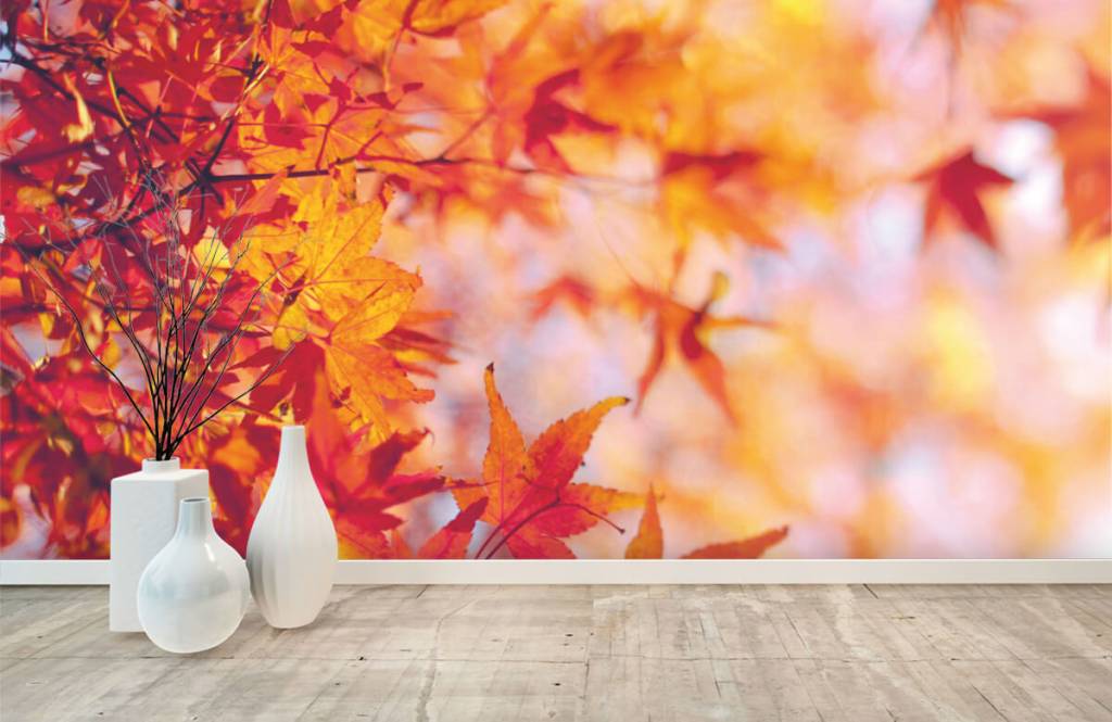 Hojas - Papel pintado con Hojas de otoño - Habitación 8