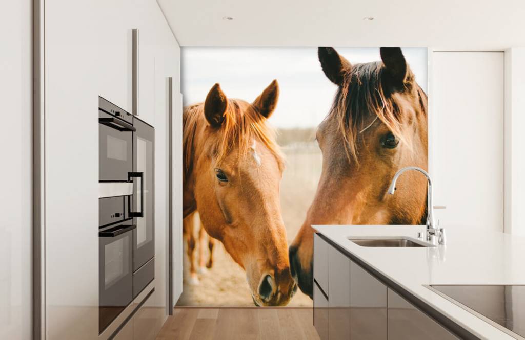 Caballos - Papel pintado con Dos caballos - Habitación de niña 7