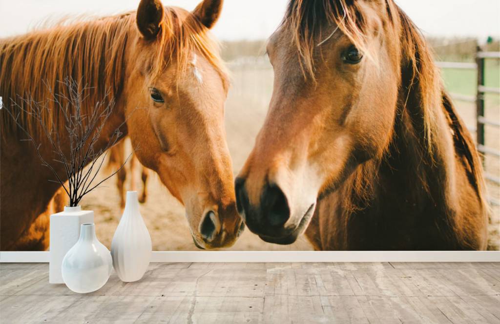 Caballos - Papel pintado con Dos caballos - Habitación de niña 8