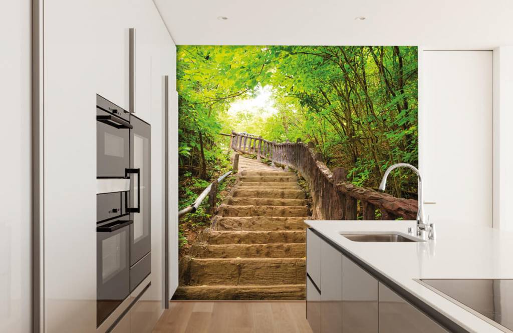Bosque - Papel pintado con Escaleras en un bosque - Habitación 1