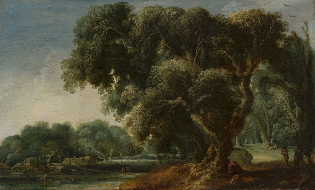 Paisaje de bosque imaginado